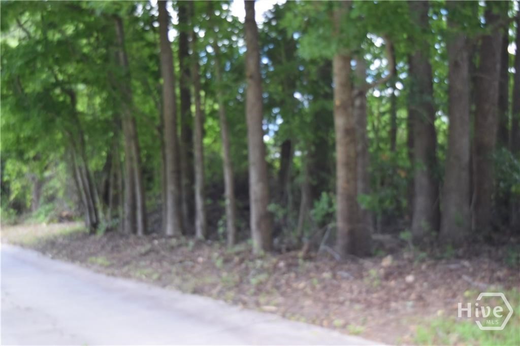 102 Trellis Way Savannah, GA 31419 - Photo 28 of 30