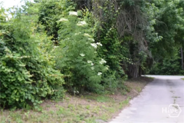 $1,950 | 102 Trellis Way, Savannah, GA 31419