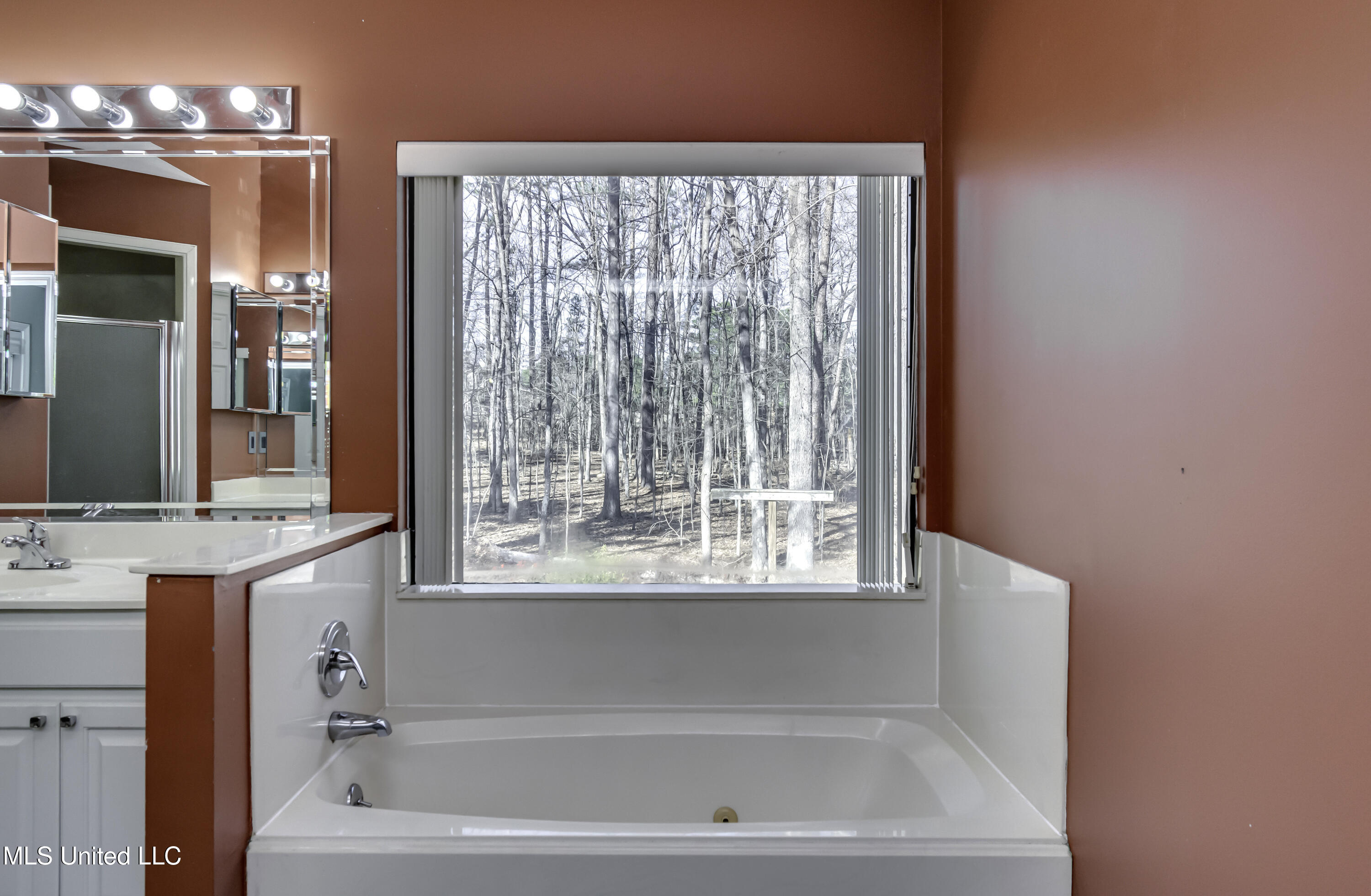 110 Meadowview Drive Brandon, MS 39047 - Photo 28 of 57 110 Meadowview Dr--67