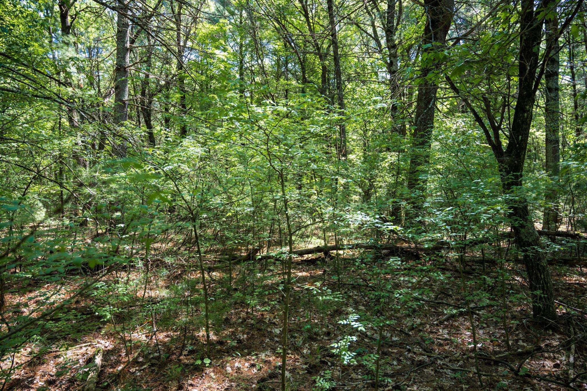 Lot 132 19th Arkdale, WI 54613 - Photo 14 of 27