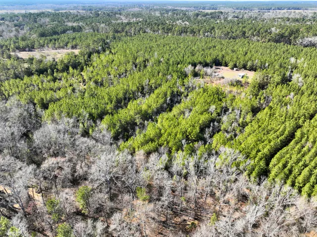 $2,445,000 | 0 Kittrell Road, Oakhurst, TX 77359