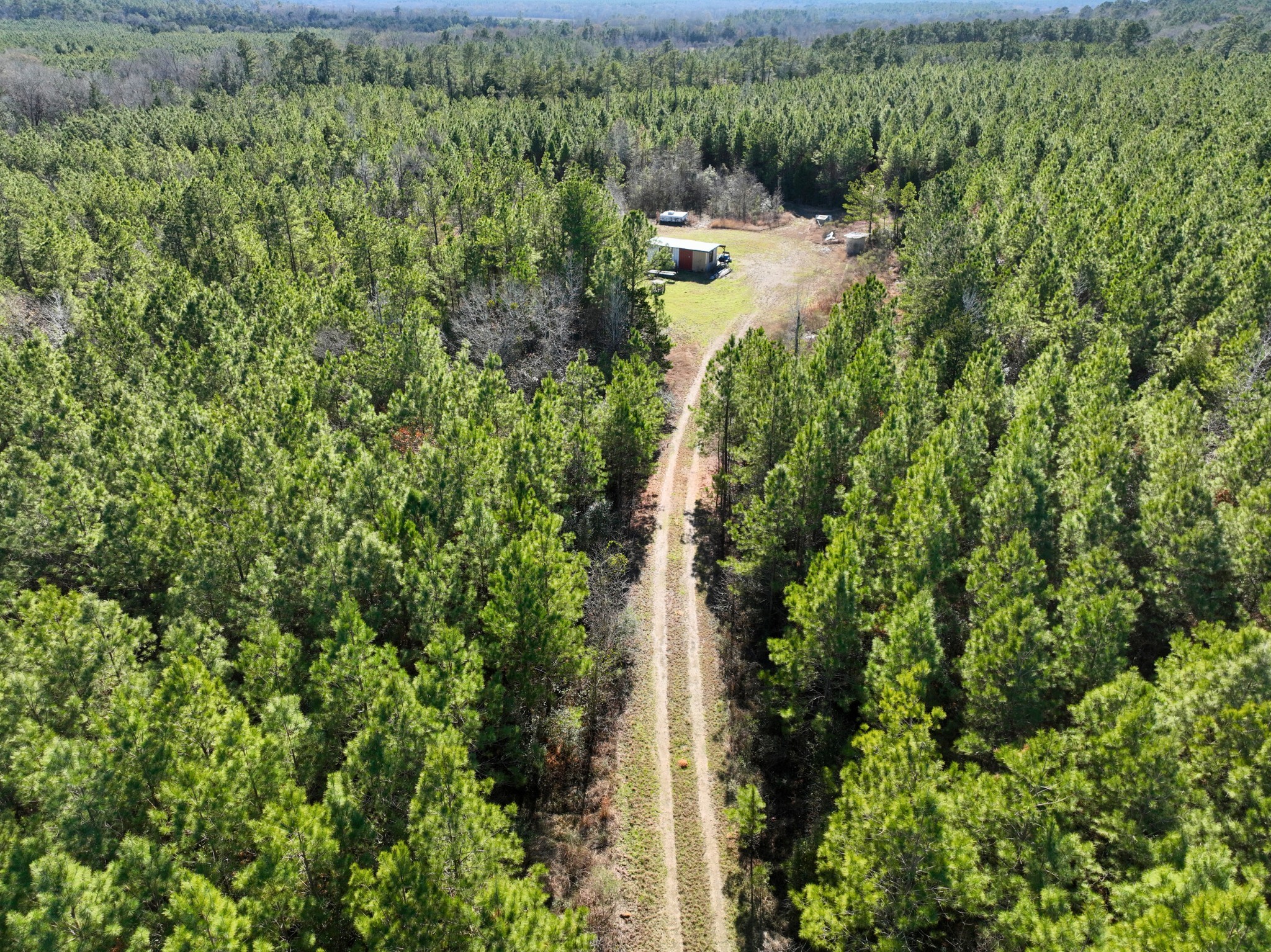 0 Kittrell Road Oakhurst, TX 77359 - Photo 12 of 15