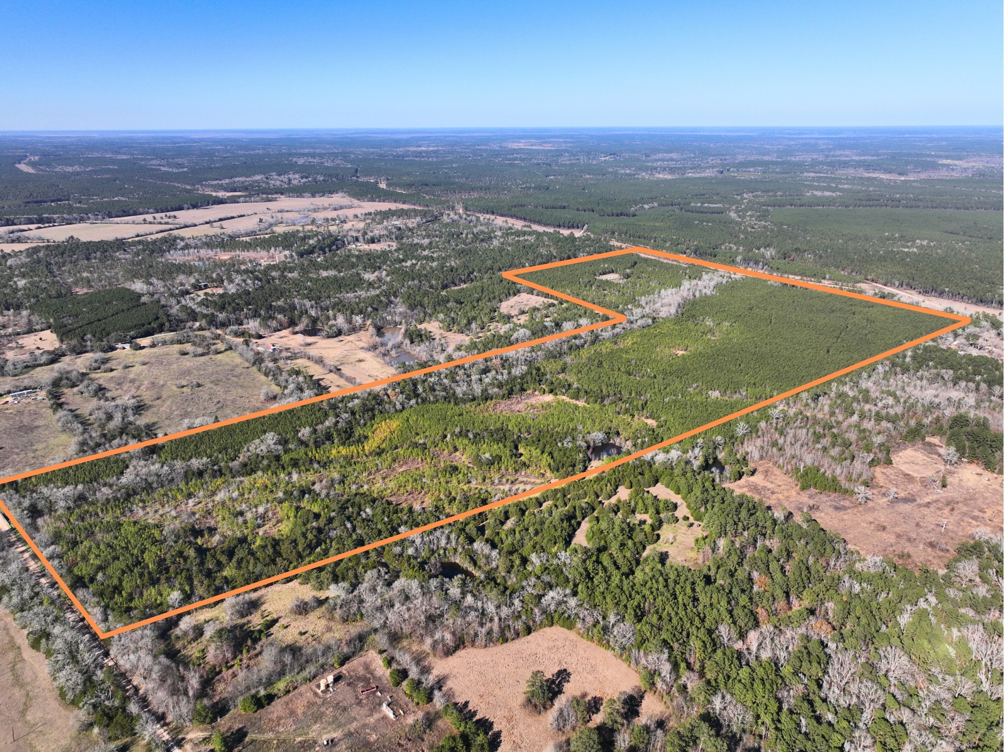 0 Kittrell Road Oakhurst, TX 77359 - Photo 13 of 15