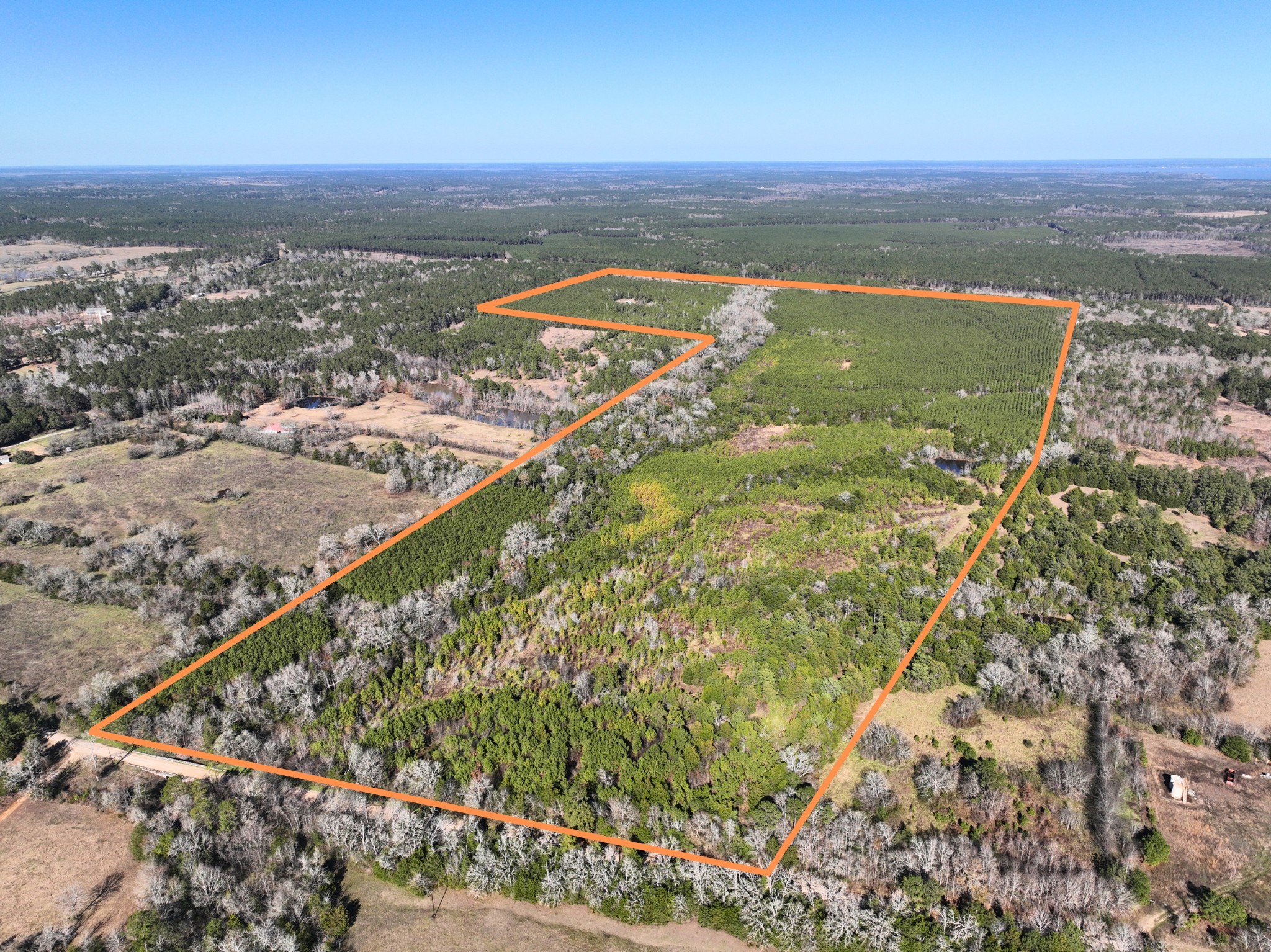 0 Kittrell Road Oakhurst, TX 77359 - Photo 14 of 15