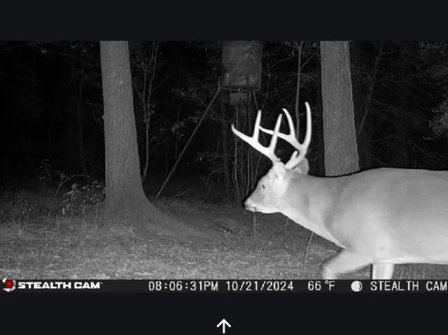 $2,445,000 | 0 Kittrell Road, Oakhurst, TX 77359