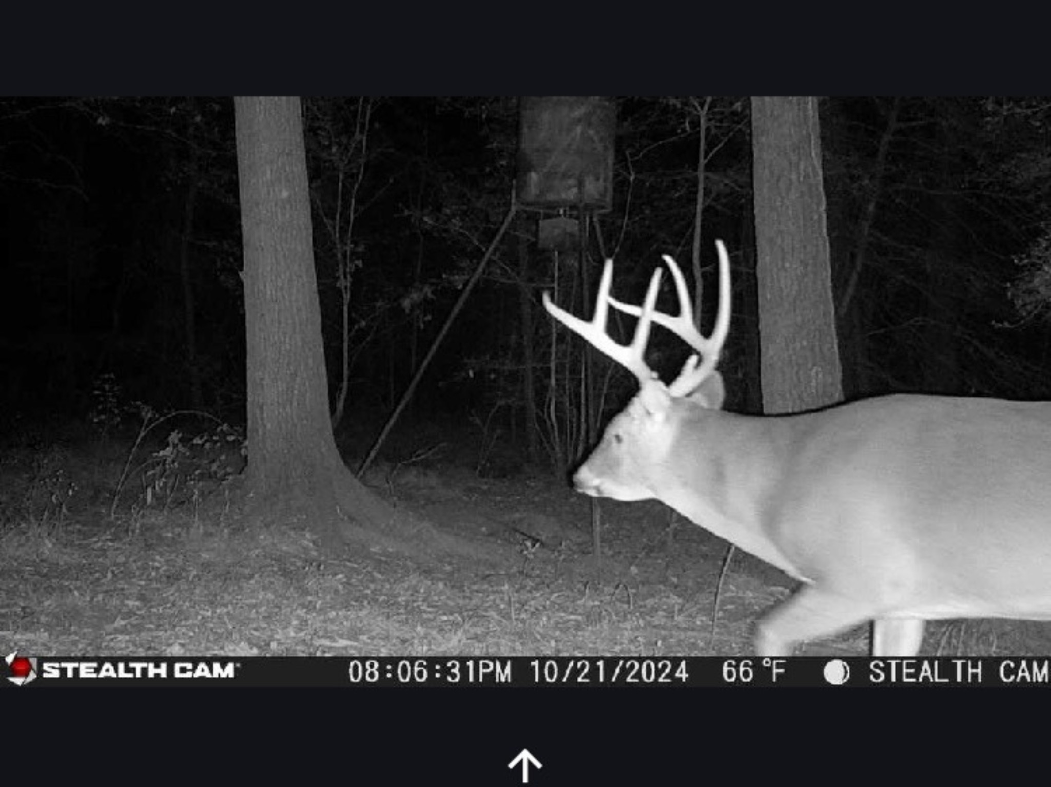 0 Kittrell Road Oakhurst, TX 77359 - Photo 2 of 15