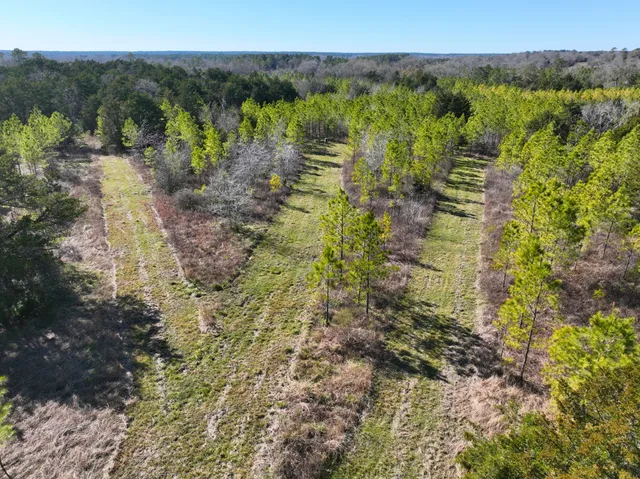 $2,445,000 | 0 Kittrell Road, Oakhurst, TX 77359