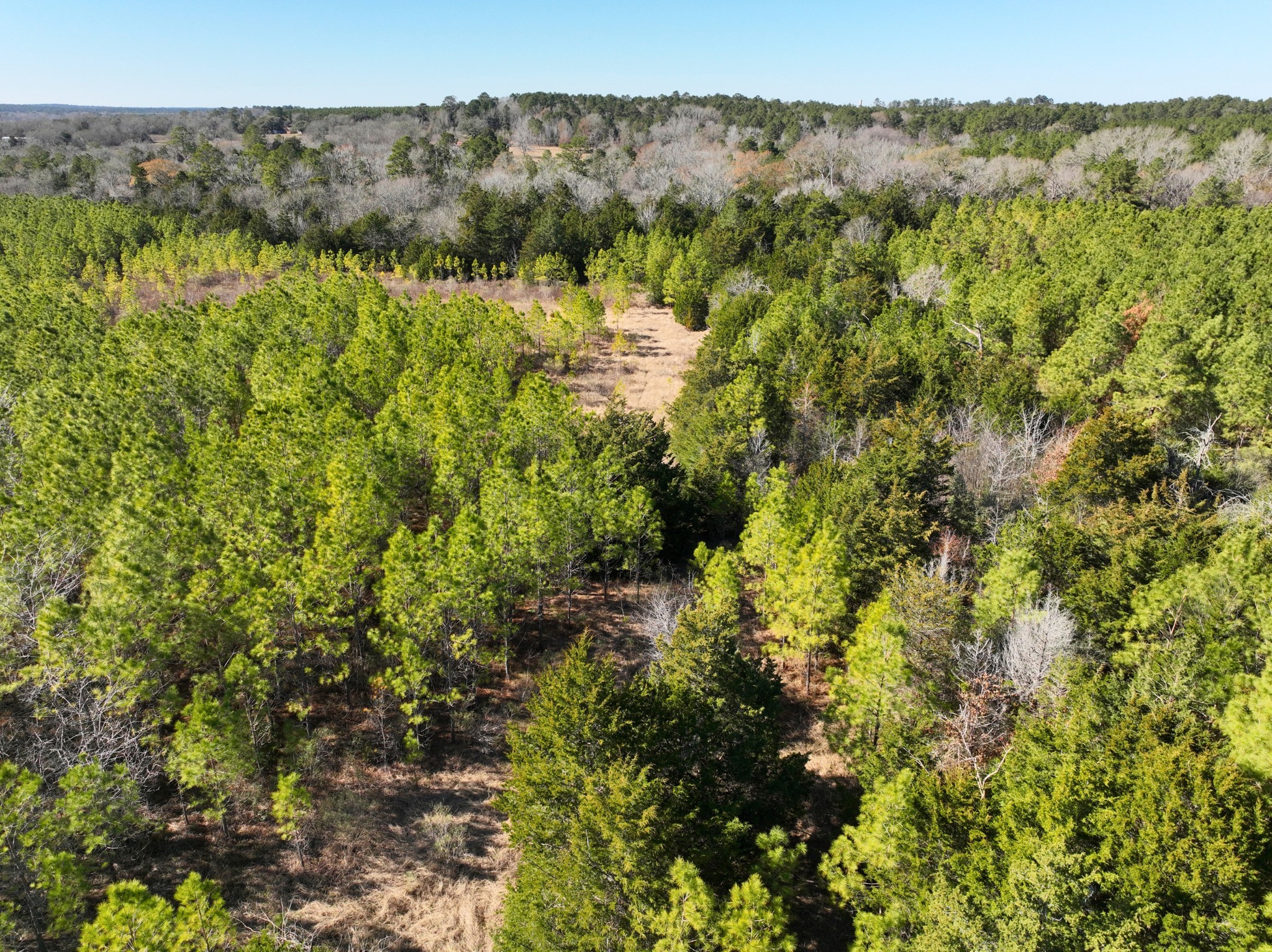 0 Kittrell Road Oakhurst, TX 77359 - Photo 7 of 15