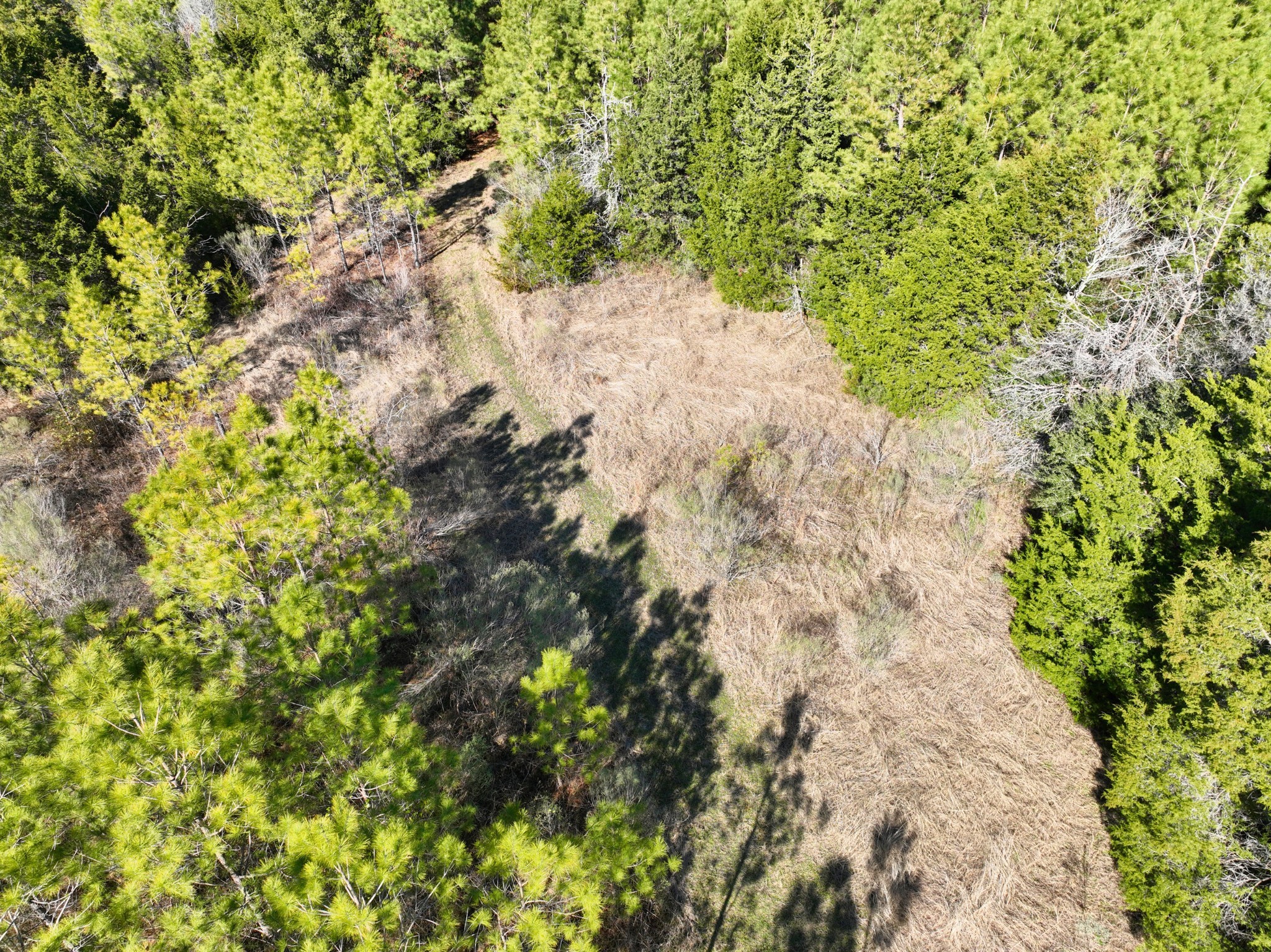 0 Kittrell Road Oakhurst, TX 77359 - Photo 8 of 15