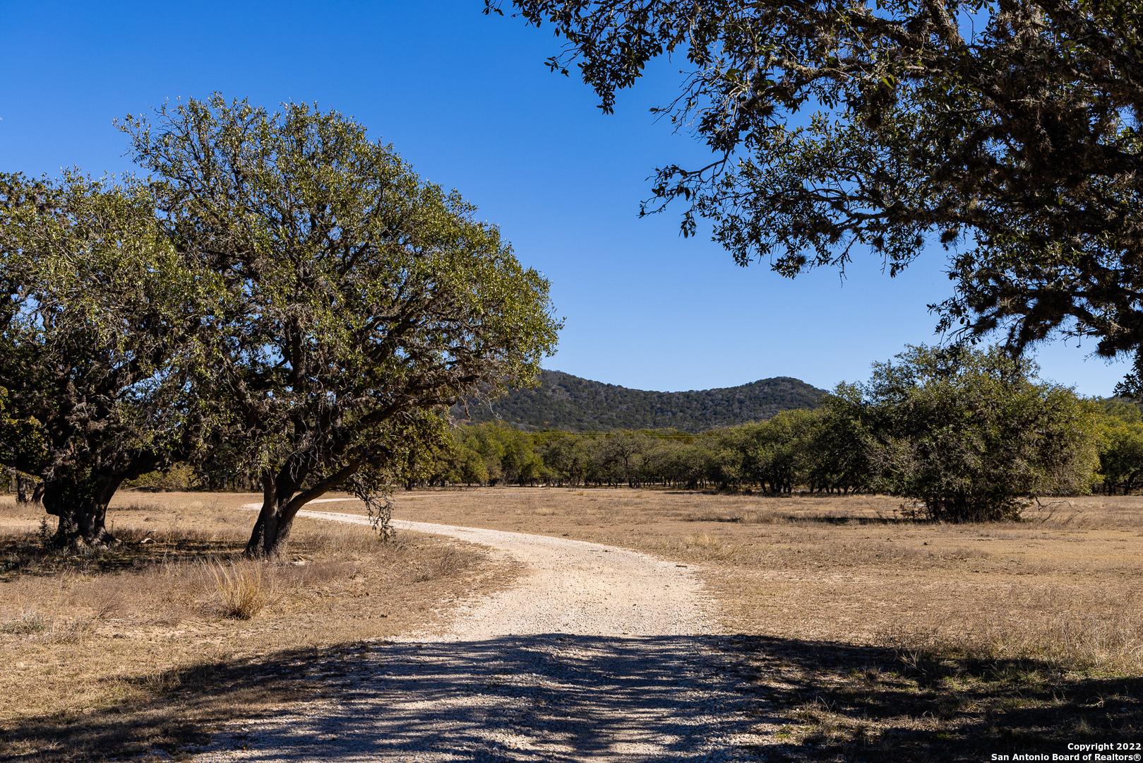 434 River Road Utopia, TX 78884 - Photo 14 of 24