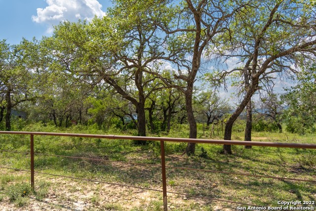 434 River Road Utopia, TX 78884 - Photo 16 of 24