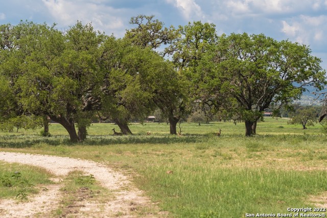 434 River Road Utopia, TX 78884 - Photo 21 of 24
