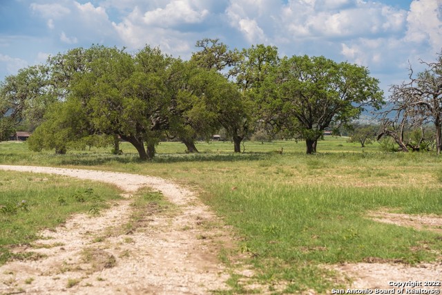 434 River Road Utopia, TX 78884 - Photo 22 of 24