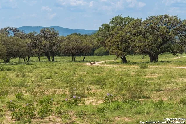 $279,000 | 434 River Road, Utopia, TX 78884