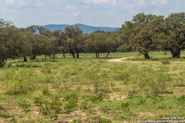 434 River Road Utopia, TX 78884 - Photo 24 of 24