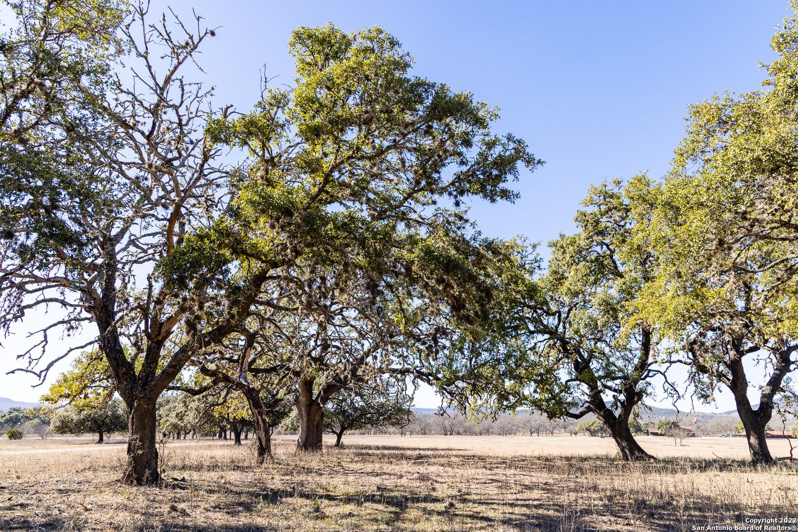 434 River Road Utopia, TX 78884 - Photo 3 of 24