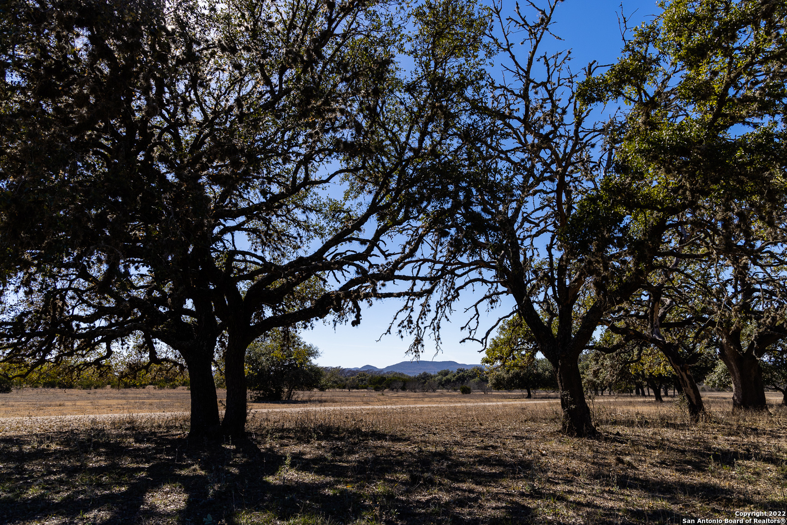 434 River Road Utopia, TX 78884 - Photo 4 of 24