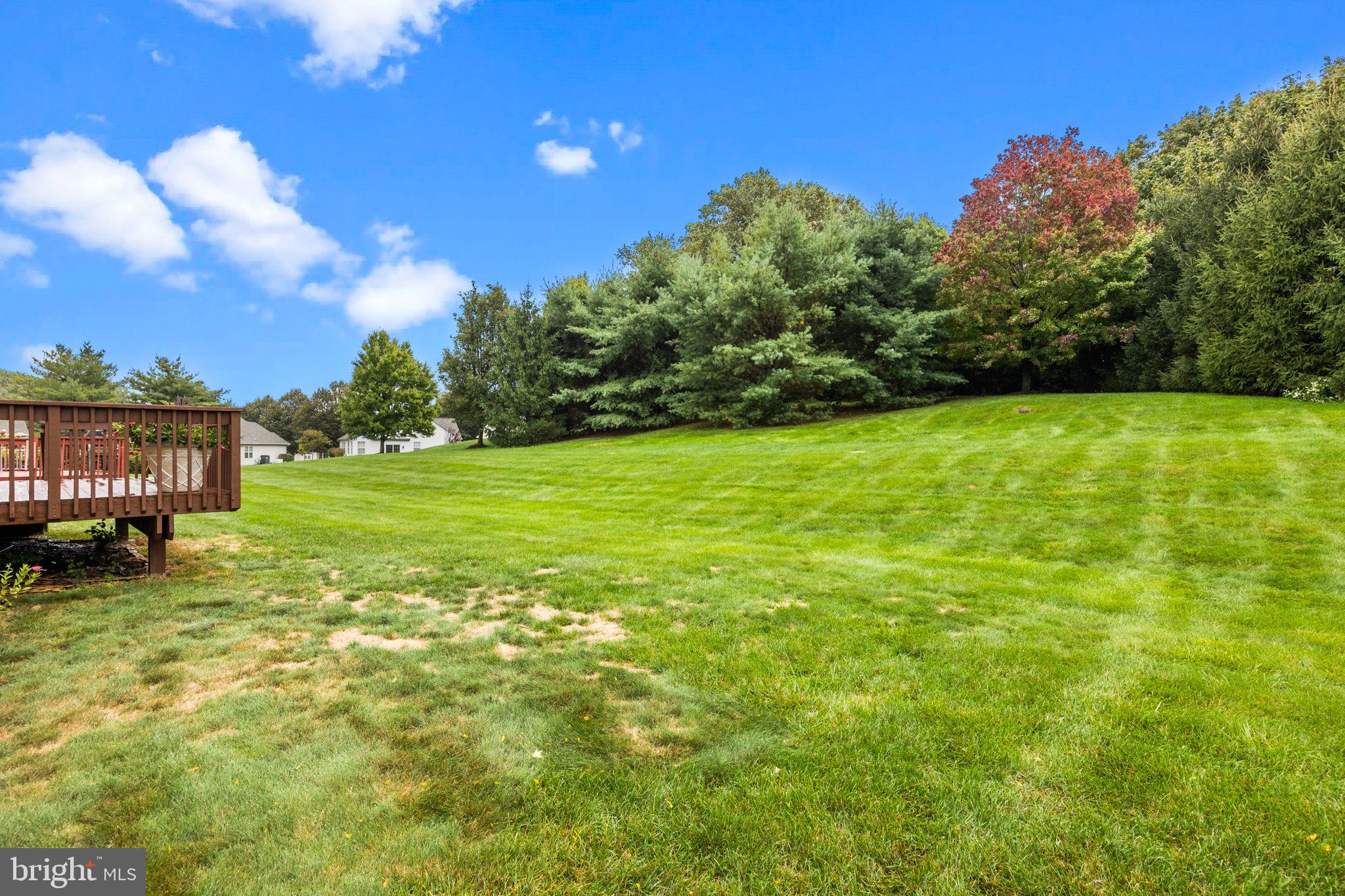 18 Bluebonnet Road Langhorne, PA 19047 - Photo 29 of 32 Back Yard Views
