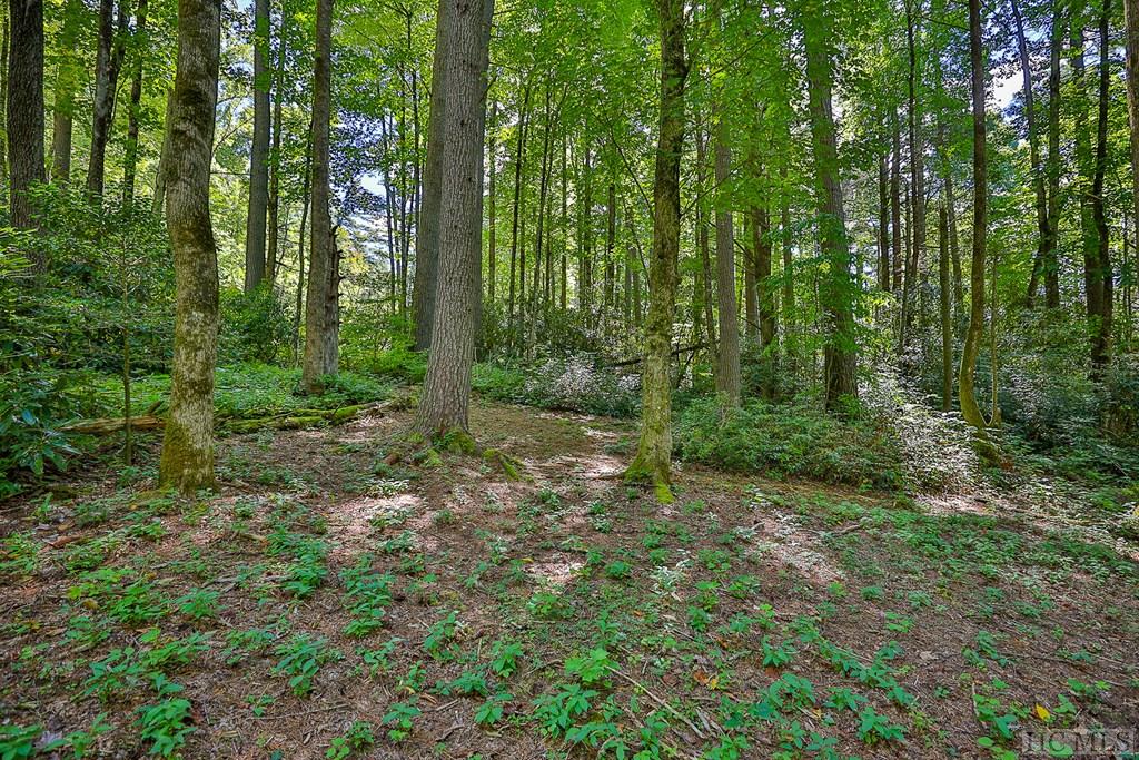 Lot 82 Flagstone Road Sapphire, NC 28774 - Photo 7 of 44 Gallery Image 7