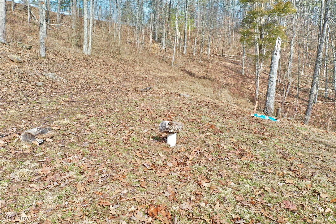 244 Hartley Rdg Road Macfarlan, WV 26148 - Photo 42 of 49