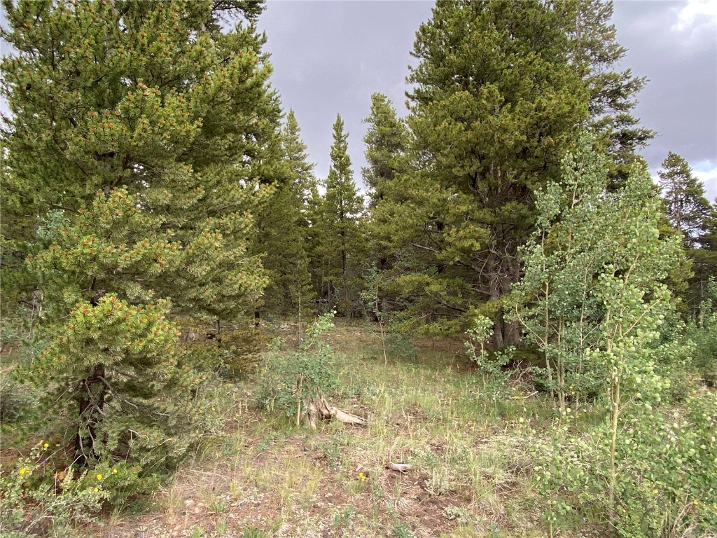 2787 Nugget Road Fairplay, CO 80440 - Photo 20 of 32 Gallery Image 20