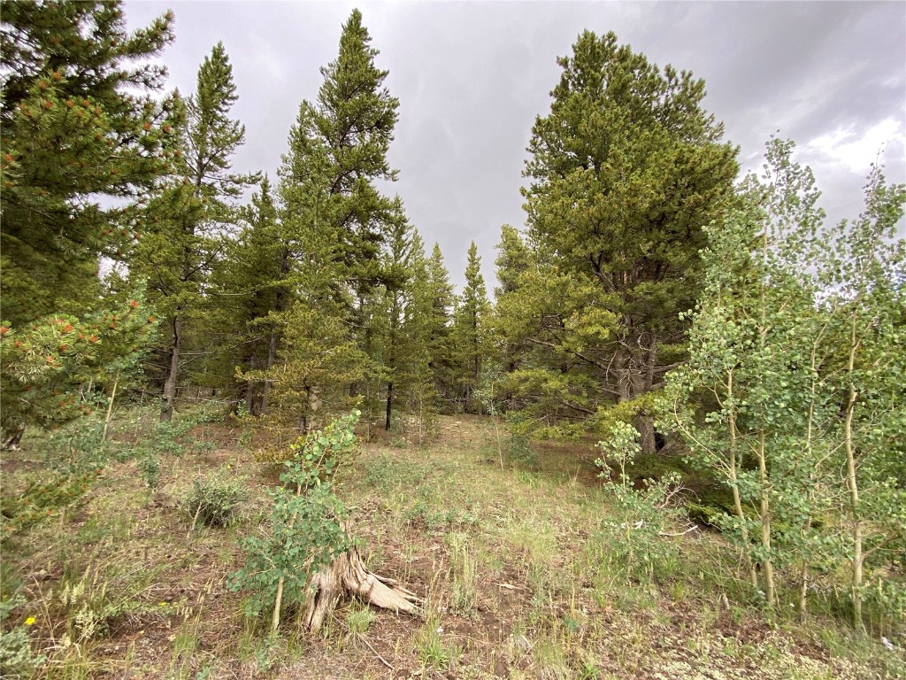 2787 Nugget Road Fairplay, CO 80440 - Photo 24 of 32 Gallery Image 24