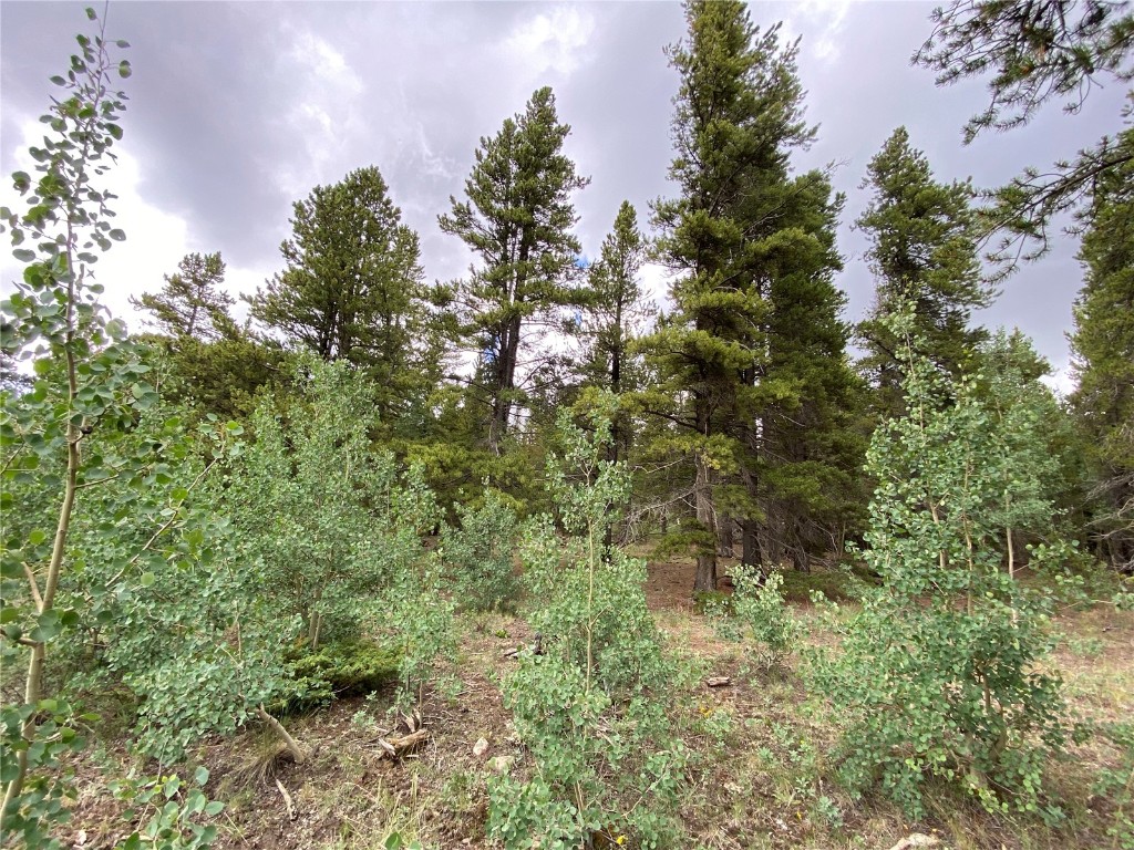 2787 Nugget Road Fairplay, CO 80440 - Photo 29 of 32 Gallery Image 29