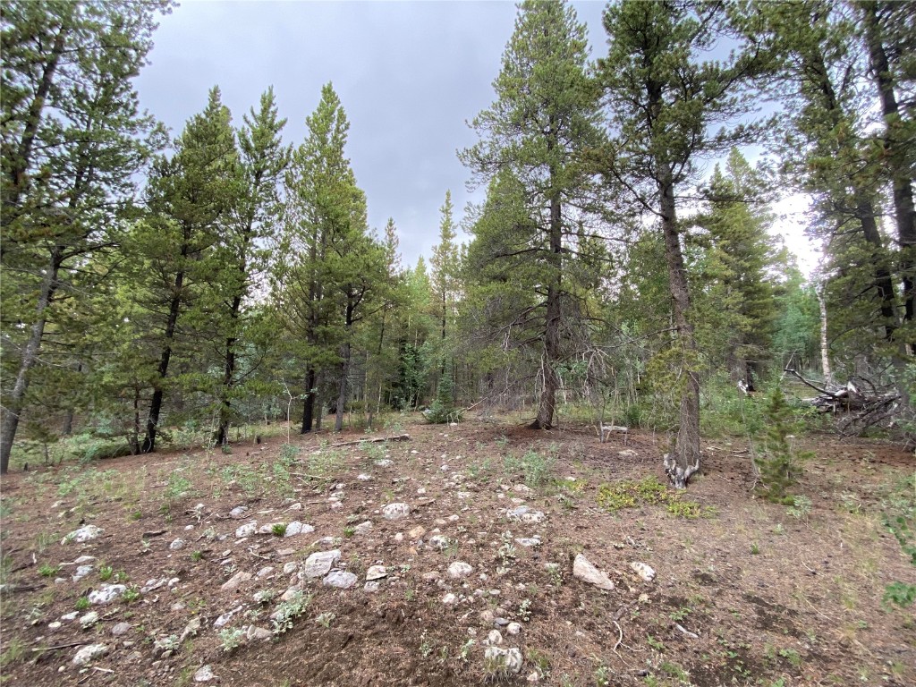 2787 Nugget Road Fairplay, CO 80440 - Photo 5 of 32 Gallery Image 5