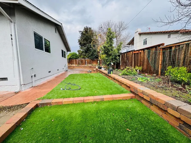 a plant that is in a garden