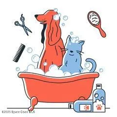 a picture of a bathroom with a sink and mirror