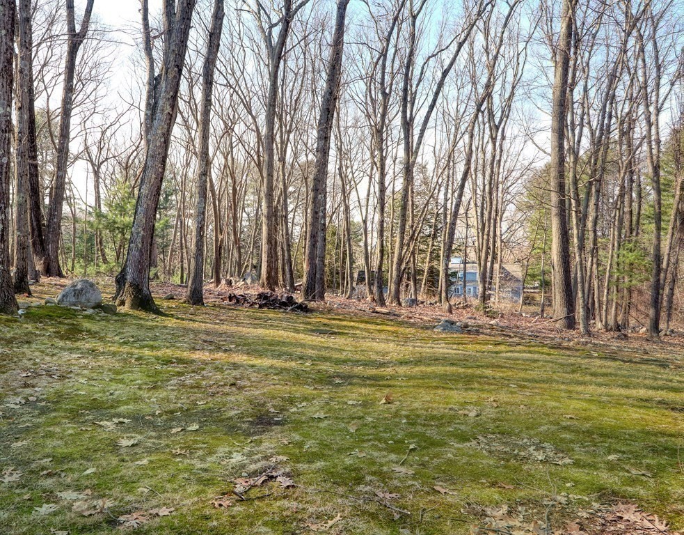 18 Juniper Ridge Road Lincoln, MA 01773 - Photo 33 of 37