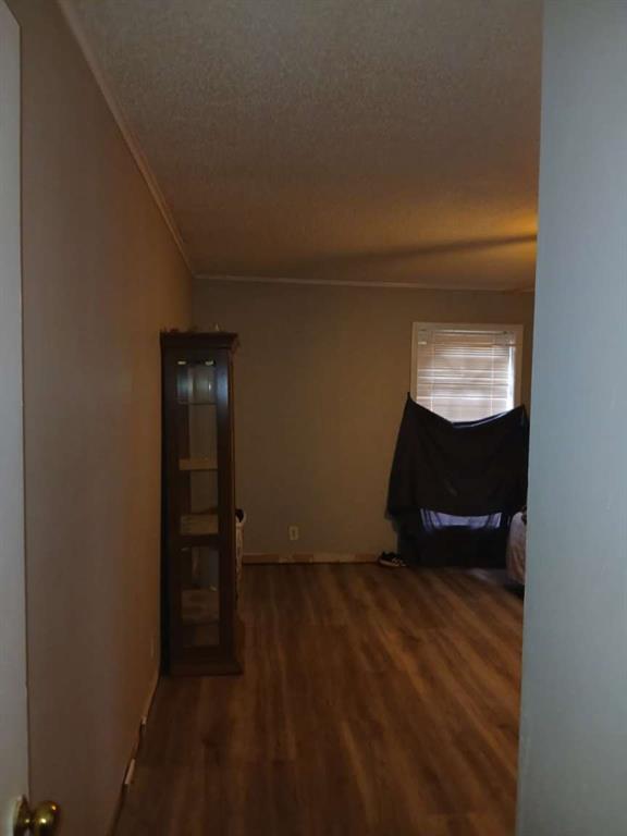 423 11th Street Northeast Springhill, LA 71075 - Photo 6 of 11