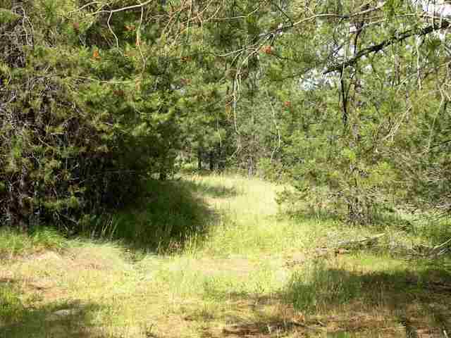 13315 East Frideger Road Elk, WA 99009 - Photo 1 of 7