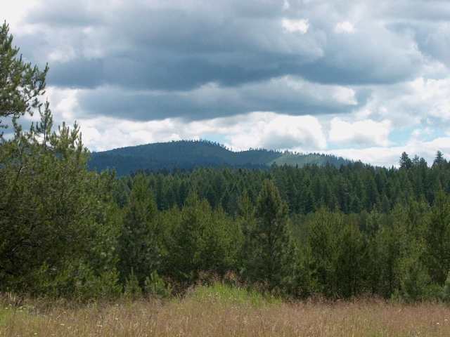 13315 East Frideger Road Elk, WA 99009 - Photo 5 of 7