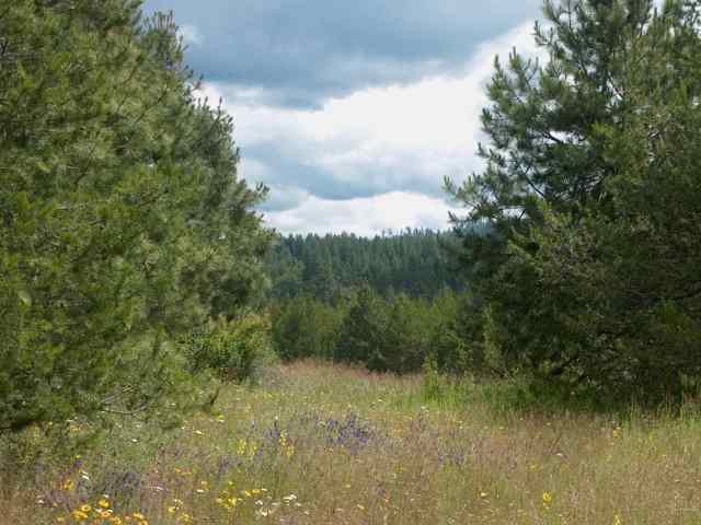 13315 East Frideger Road Elk, WA 99009 - Photo 6 of 7