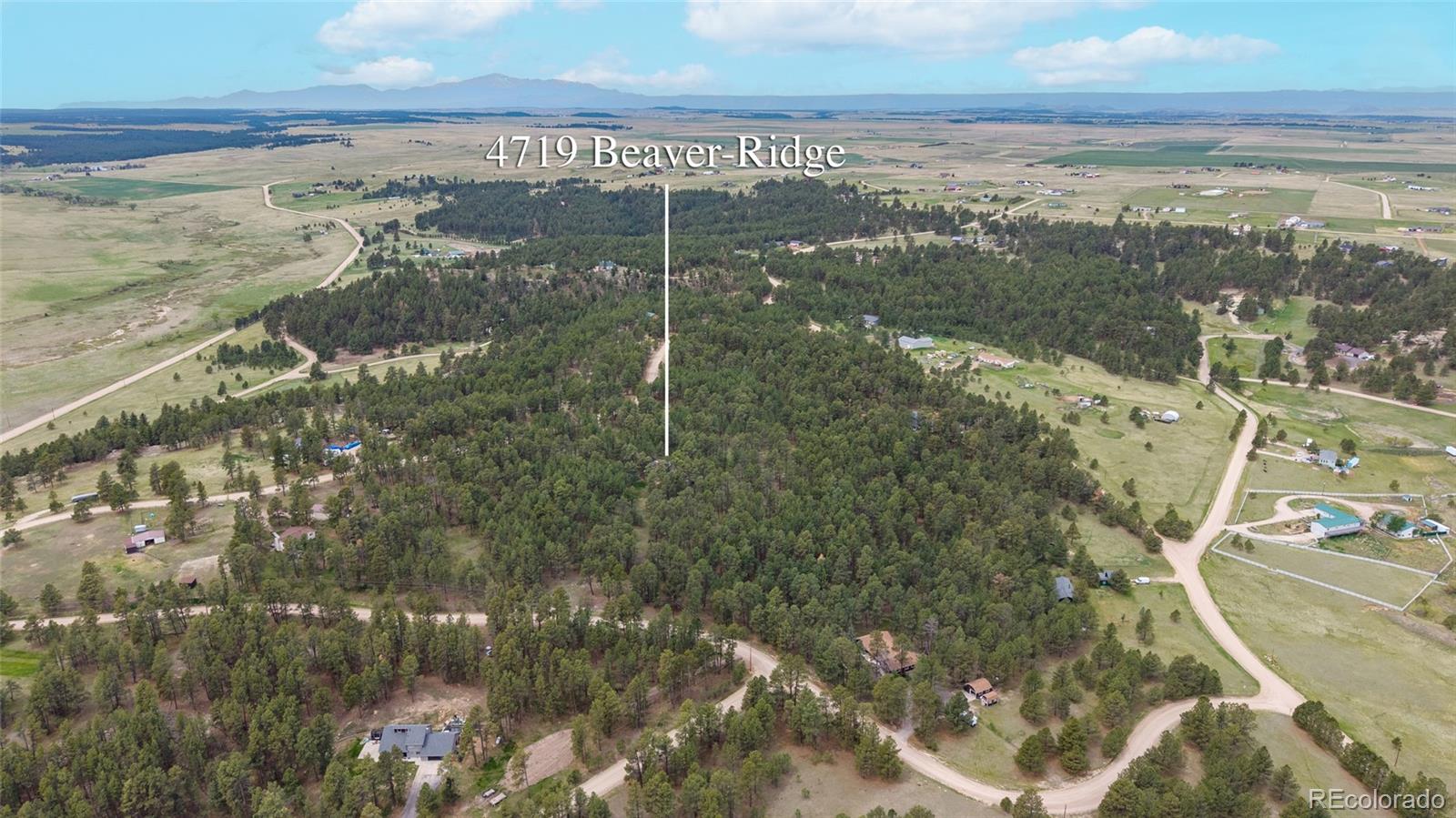 4719 Beaver-Ridge Elbert, CO 80106 - Photo 47 of 48