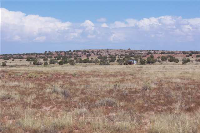 . Woodridge Ranch Snowflake, AZ 85937 - Photo 4 of 4