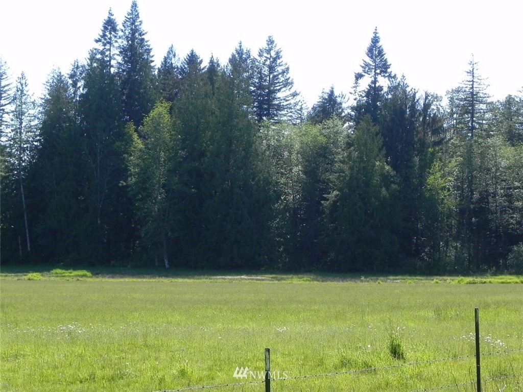 0 Stub Road Onalaska, WA 98570 - Photo 1 of 12 Gallery Image 1