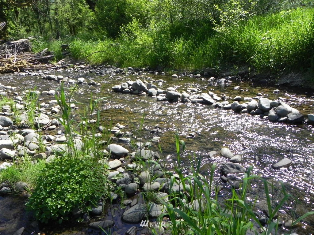 0 Stub Road Onalaska, WA 98570 - Photo 2 of 12 Gallery Image 2