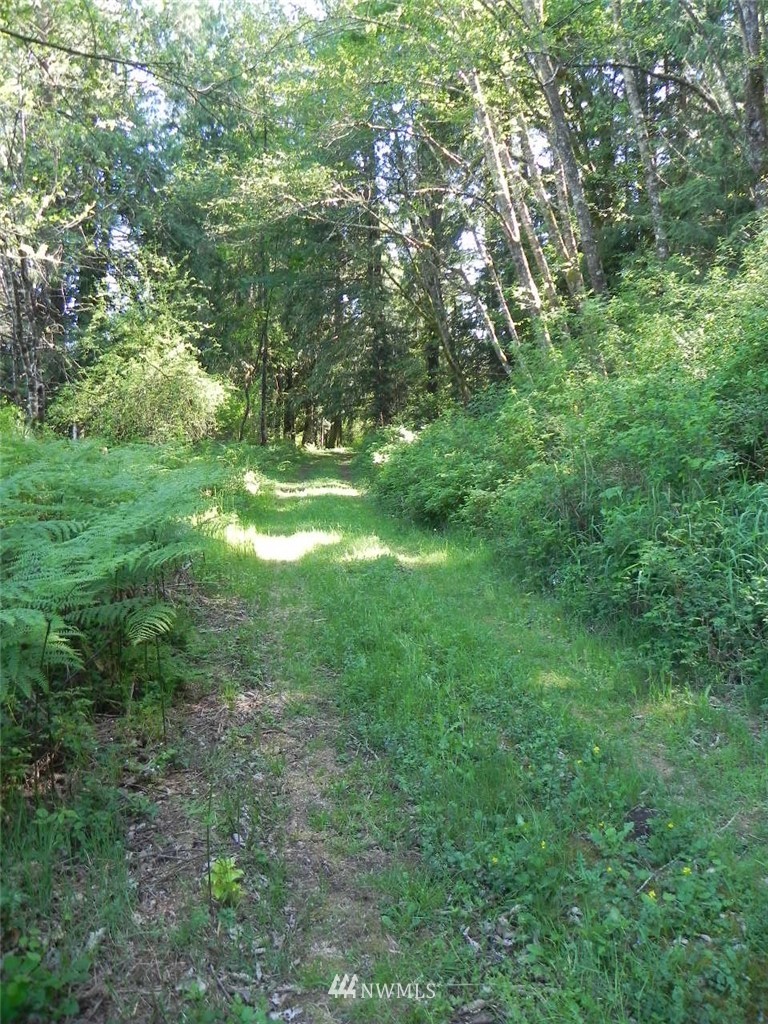 0 Stub Road Onalaska, WA 98570 - Photo 11 of 12 Gallery Image 11