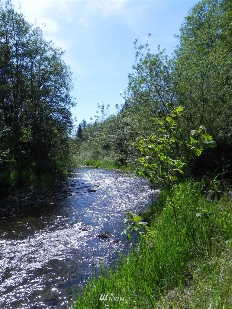 0 Stub Road Onalaska, WA 98570 - Photo 4 of 12 Gallery Image 4