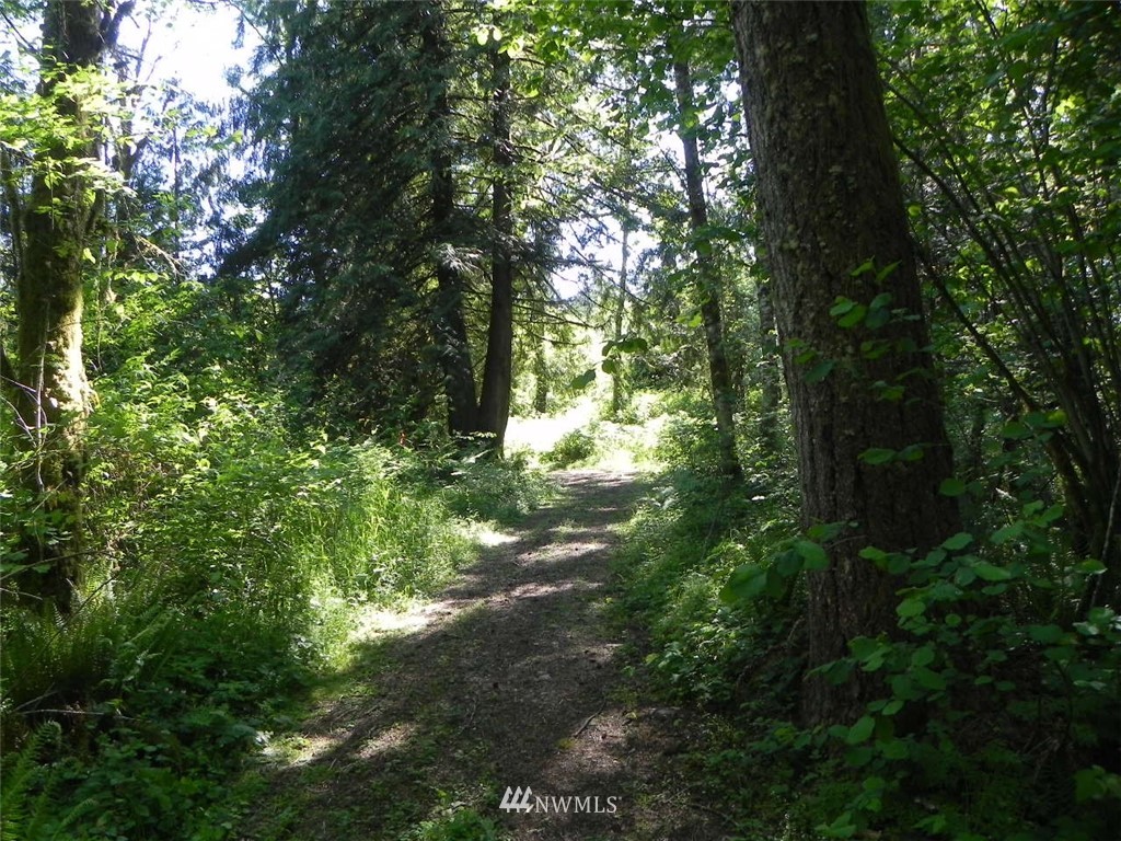 0 Stub Road Onalaska, WA 98570 - Photo 5 of 12 Gallery Image 5