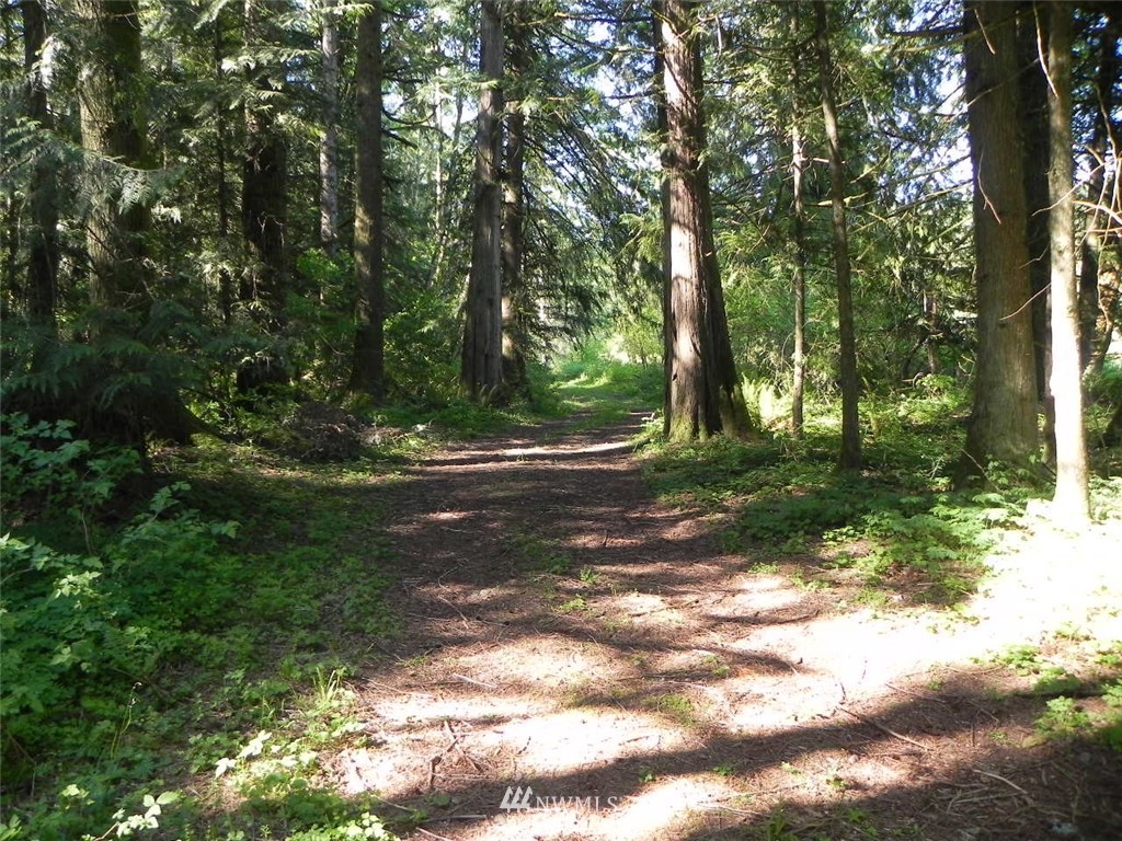 0 Stub Road Onalaska, WA 98570 - Photo 7 of 12 Gallery Image 7