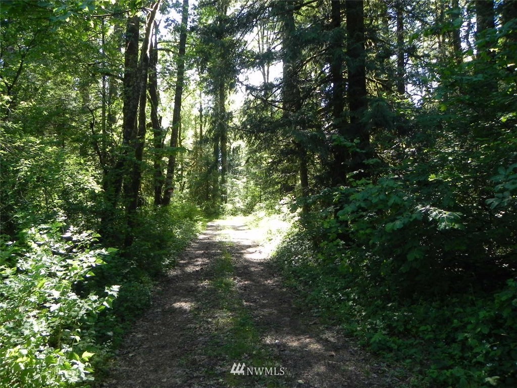 0 Stub Road Onalaska, WA 98570 - Photo 10 of 12 Gallery Image 10