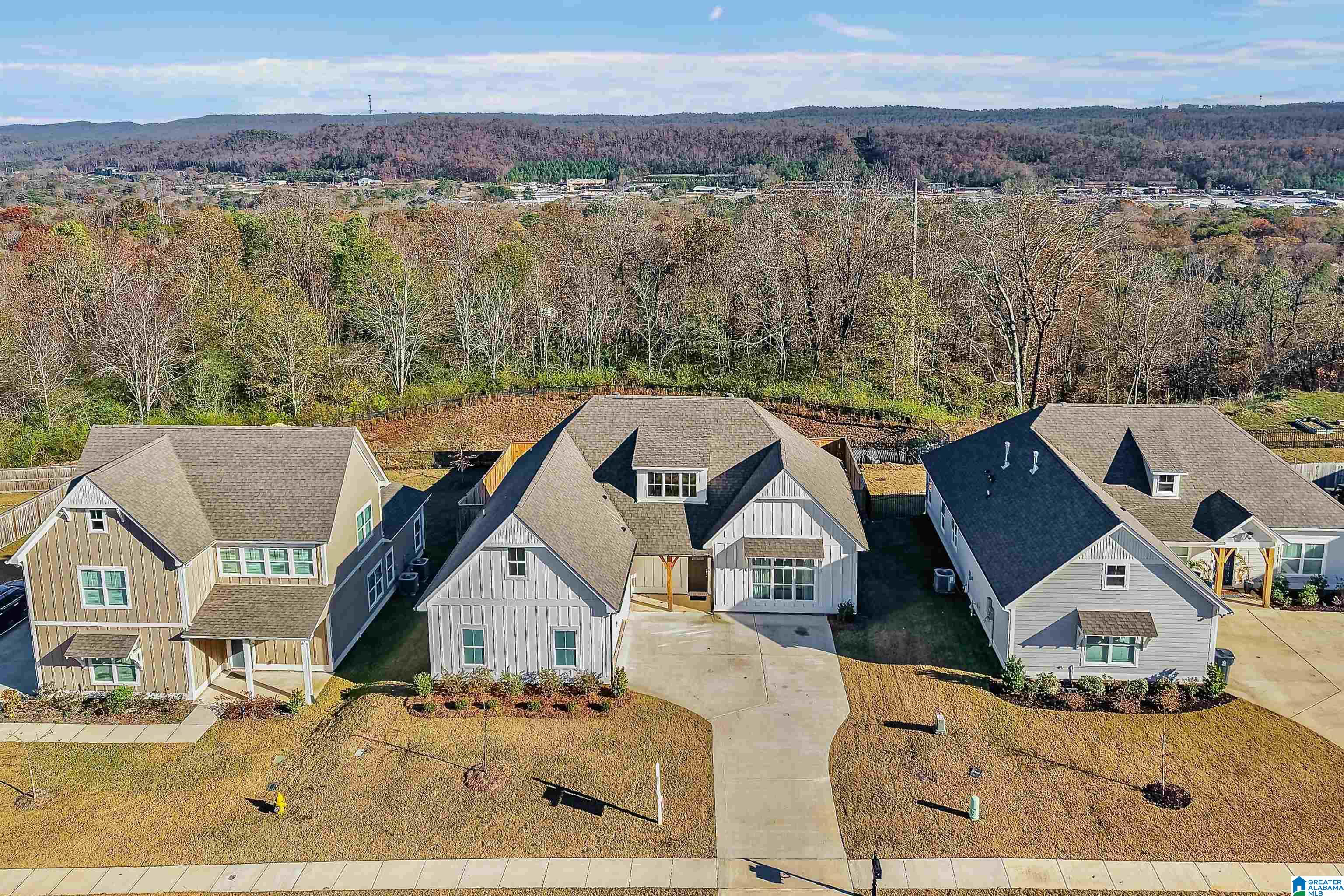 1182 Camellia Ridge Drive Pelham, AL 35124 - Photo 43 of 46
