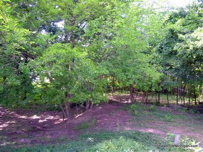 14360 Mohney Lake Road Three Rivers, MI 49093 - Photo 14 of 15 Additional Photo