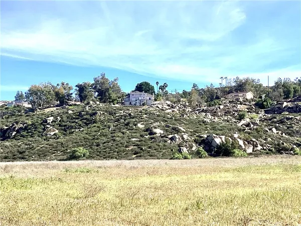 a view of a yard