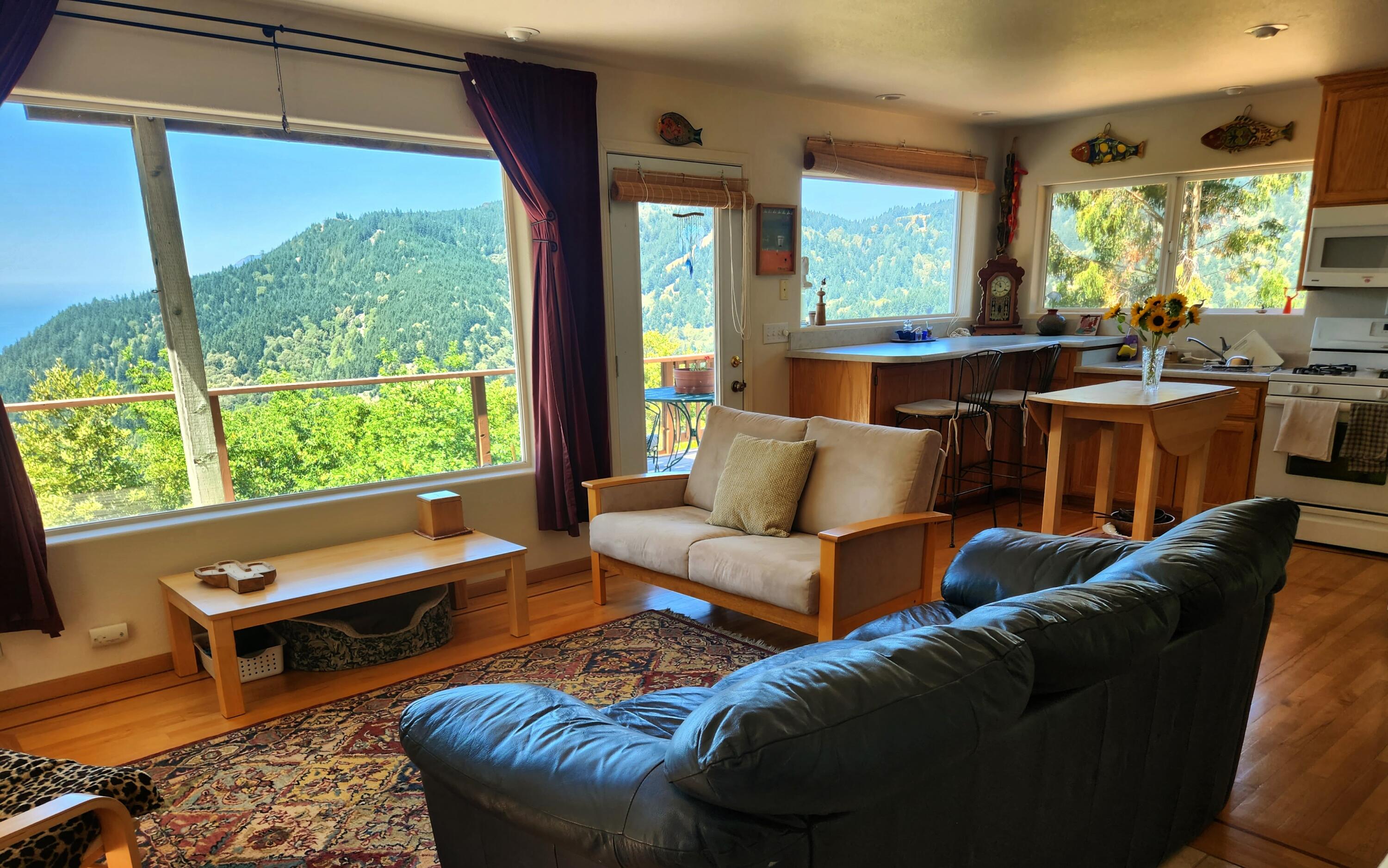 10 Telegraph Creek Road Whitethorn, CA 95589 - Photo 8 of 59