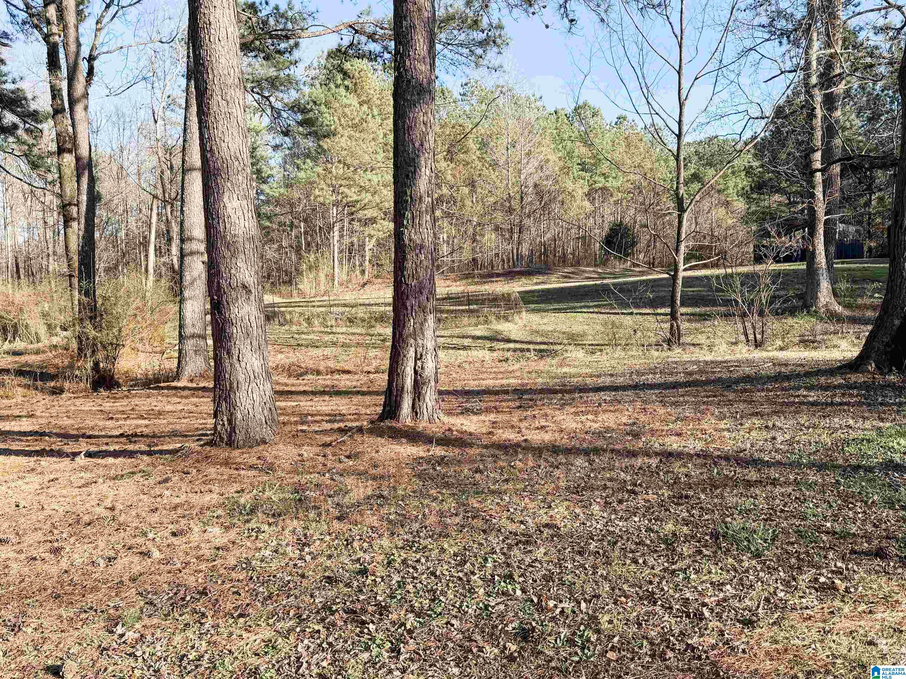 1978 Warrior Jasper Road Warrior, AL 35180 - Photo 24 of 99