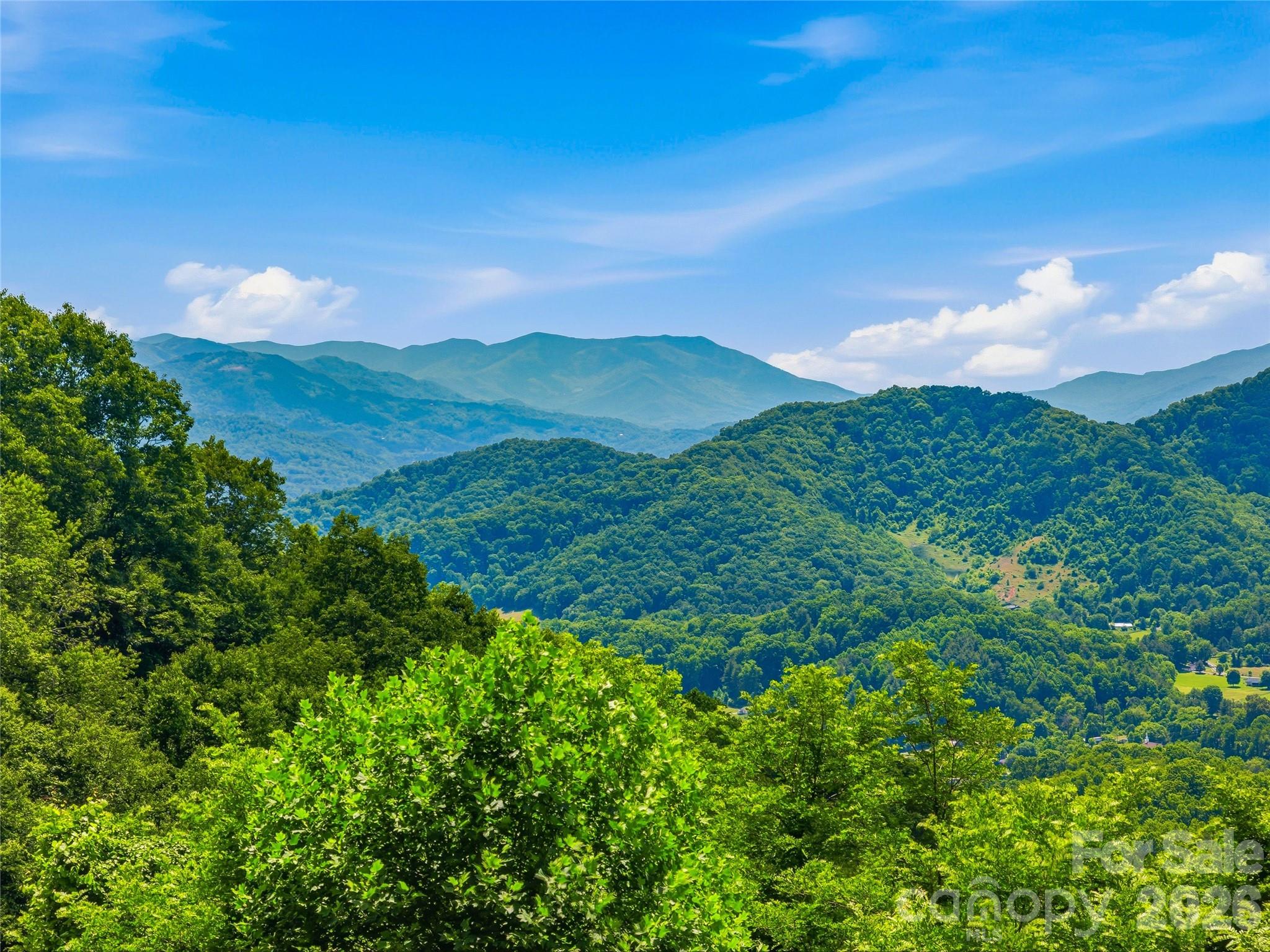 1877 Wilson Cove Road Canton, NC 28716 - Photo 2 of 2
